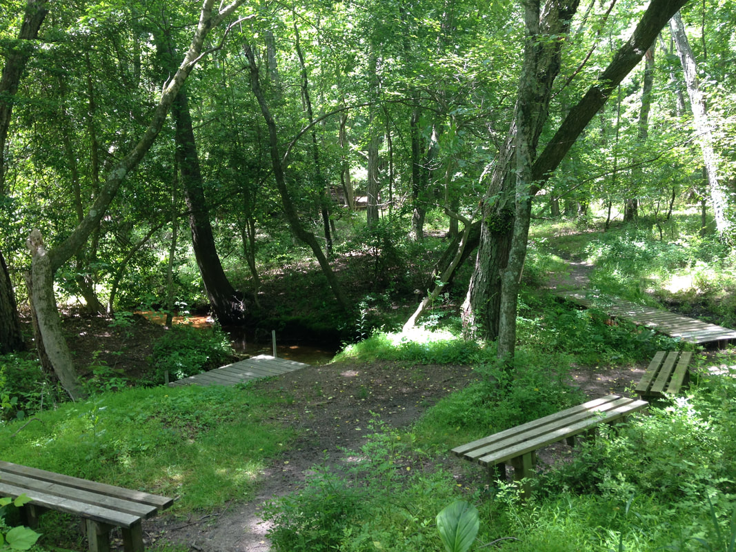 The Rancocas Nature Center Rancocas Nature Center HOME
