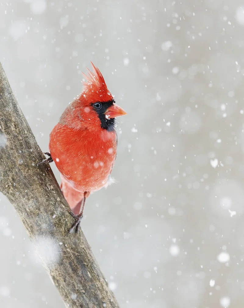 The Rancocas Nature Center - Rancocas Nature Center - HOME